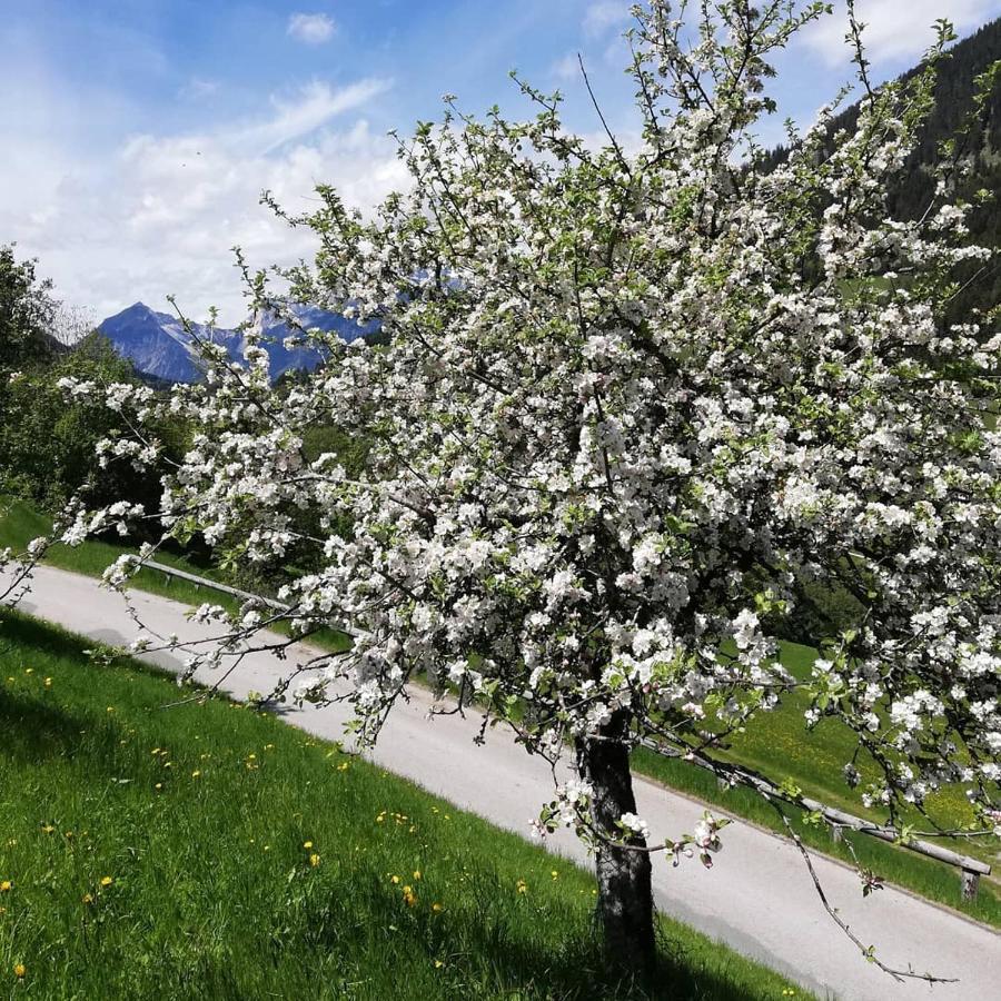 Appartements Kolberhof Alpbach Zewnętrze zdjęcie