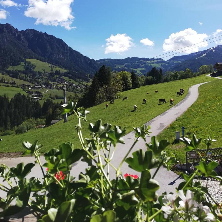 Appartements Kolberhof Alpbach Zewnętrze zdjęcie
